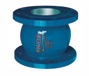 ��ֹ���y