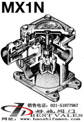 ����-ˮ����y